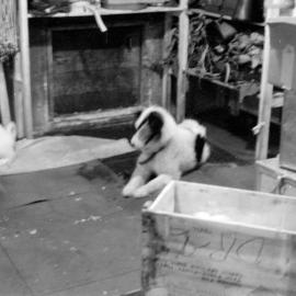 Massam-Negatives_35mm_030