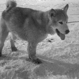 Massam-Negatives_35mm_058