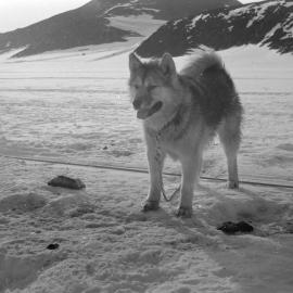 Massam-Negatives_35mm_059