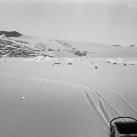 Massam-Negatives_35mm_082