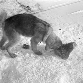 Massam-Negatives_35mm_089