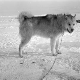 Massam-Negatives_35mm_090