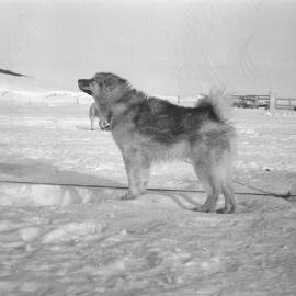 Massam-Negatives_35mm_091
