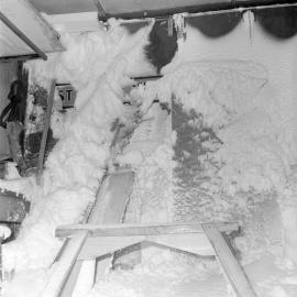 Massam-Negatives_Malcolm-Ford_032