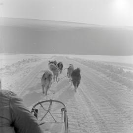 Massam-Negatives_Malcolm-Ford_041