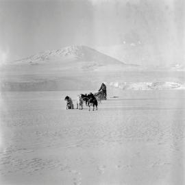 Massam-Negatives_Malcolm-Ford_047