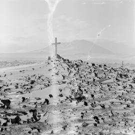 Massam-Negatives_Malcolm-Ford_055