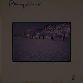 Massam-Slides_Nimrod-Glacier_1963-1964_022
