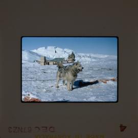 Massam-Slides_Nimrod-Glacier_1963-1964_027