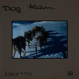 Massam-Slides_Shackleon-Glacier_1963-1964_020