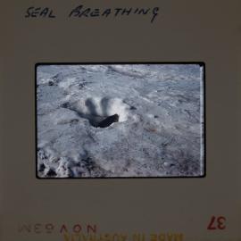 Massam-Slides_Box-1_1963-1964_016