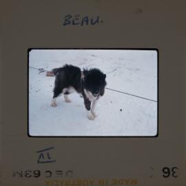 Massam-Slides_Box-1_1963-1964_050