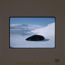 Massam-Slides_Box-1_1963-1964_052