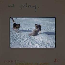 Massam-Slides_Box-1_1963-1964_054