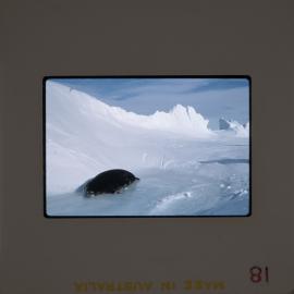 Massam-Slides_Box-1_1963-1964_060