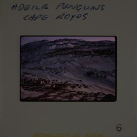 Massam-Slides_Box-1_1963-1964_070