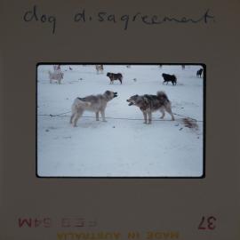 Massam-Slides_Box-1_1963-1964_081