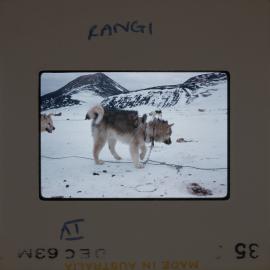 Massam-Slides_Box-1_1963-1964_082