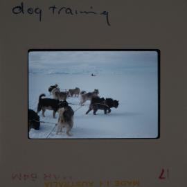 Massam-Slides_Box-1_1963-1964_102