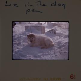 Massam-Slides_Box-1_1963-1964_148