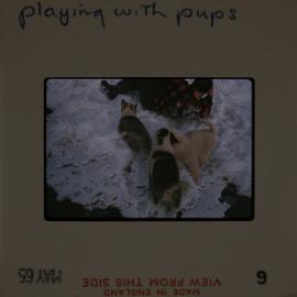 Massam-Slides_Box-1_1963-1964_150