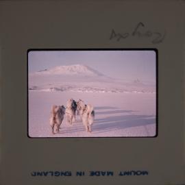 Massam-Slides_Box-2_1963-1964_021