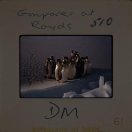 Massam-Slides_Box-2_1963-1964_025