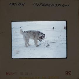 Massam-Slides_Box-2_1963-1964_094