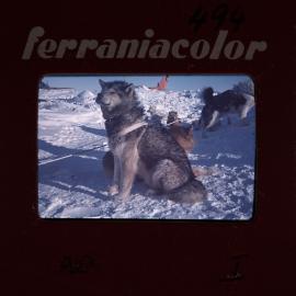 Massam-Slides_Untitled_007