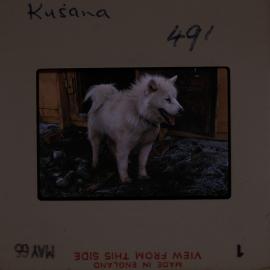 Massam-Slides_Untitled_011