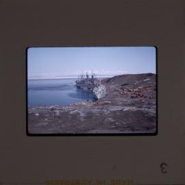 Massam-Slides_Untitled_023