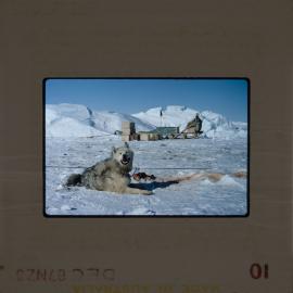 Massam-Slides_Untitled_079