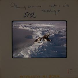 Massam-Slides_Untitled_097