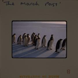 Massam-Slides_Untitled_098