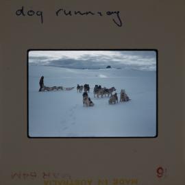 Massam-Slides_Untitled_105