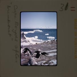 Massam-Slides_Untitled_106