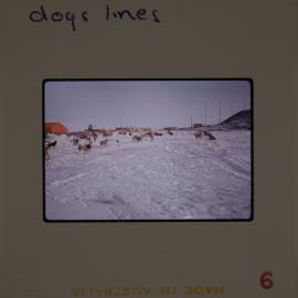 Massam-Slides_Untitled_110