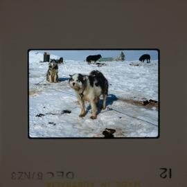 Massam-Slides_Untitled_111