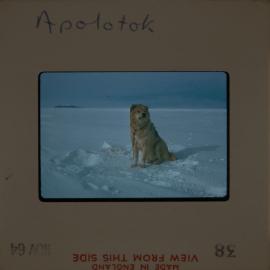 Massam-Slides_Untitled_114