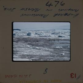 Massam-Slides_Untitled_119