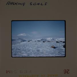 Massam-Slides_Untitled_131