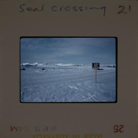 Massam-Slides_Untitled_144