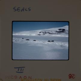 Massam-Slides_Untitled_155