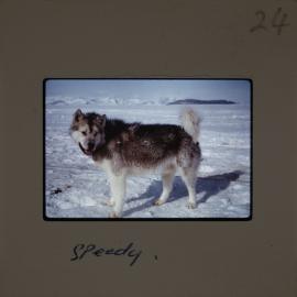 Massam-Slides_Untitled_158