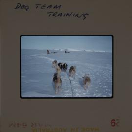 Massam-Slides_Untitled_159