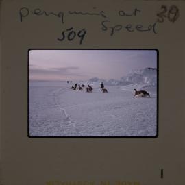 Massam-Slides_Untitled_160