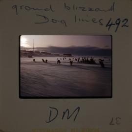 Massam-Slides_Untitled_166