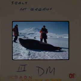 Massam-Slides_Untitled_167