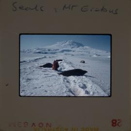 Massam-Slides_Untitled_172