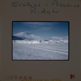 Massam-Slides_Untitled_178